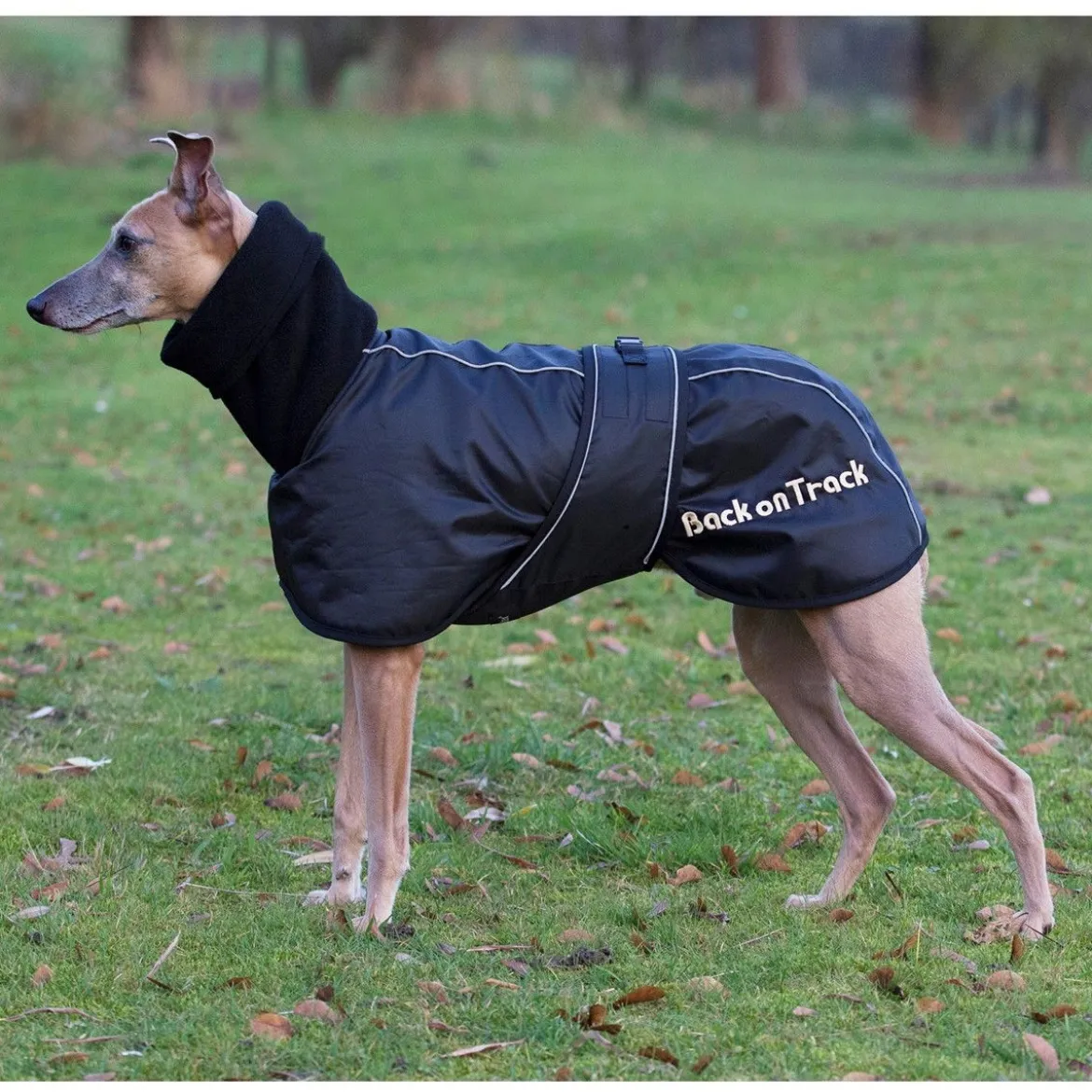 Back on Track Hundtäcke Whippet