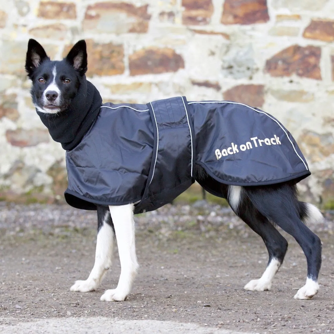 Back on Track Hundtäcke Whippet