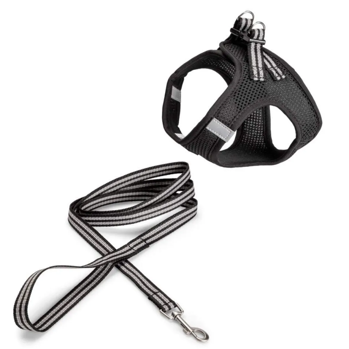 Basic Cat Sporty Sele & Koppel Svart