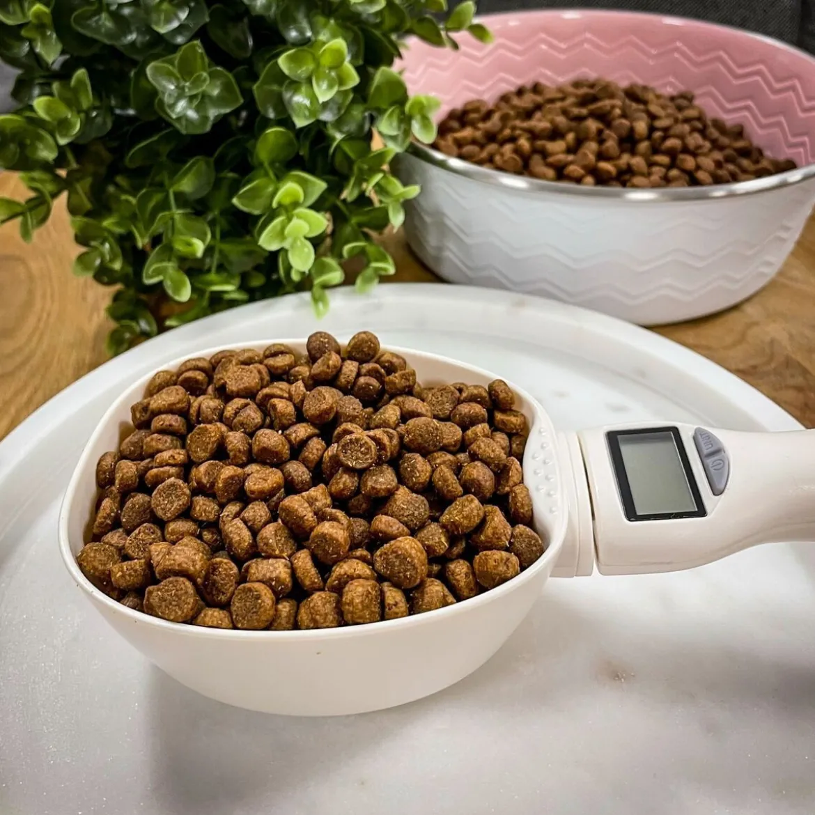 Basic Foderskopa med Våg