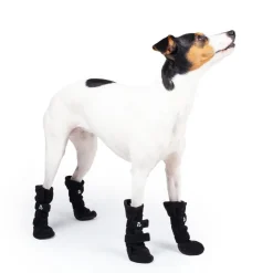 Basic Paws Fleeceskor 4-pack