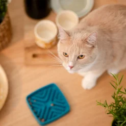 Basic Slow Down Kattskål i Melamin 12 cm Blå
