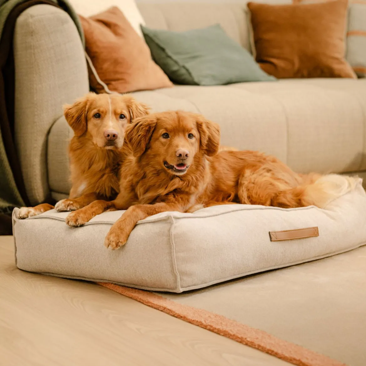Basic WellB Ortopedisk Hundmadrass Beige med Läderhandtag