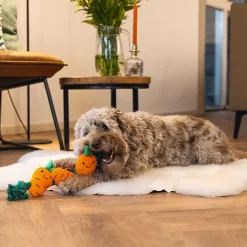 Beeztees Easter Morötter på Rep Hundleksak 38 cm