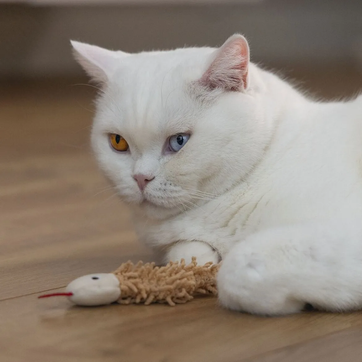 Beeztees Eco Cat Boa Mjukisdjur Orm 2-pack