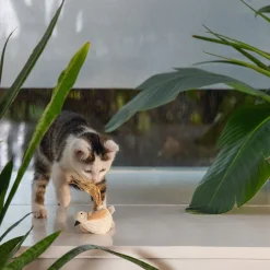 Beeztees Eco Cat Chicho Fågel