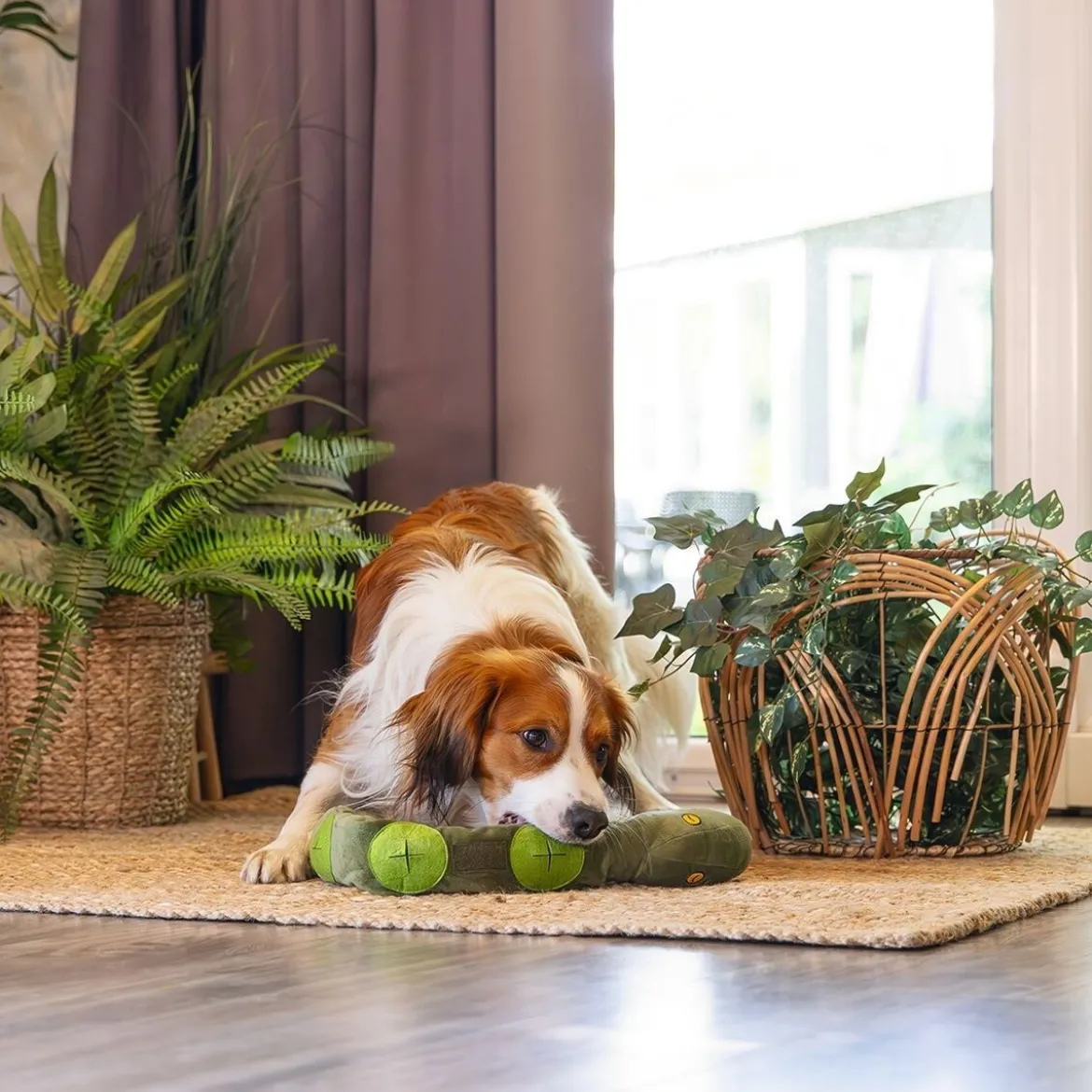 Beeztees Hide N Seek Jungle Kani Aktiveringsleksak Orm