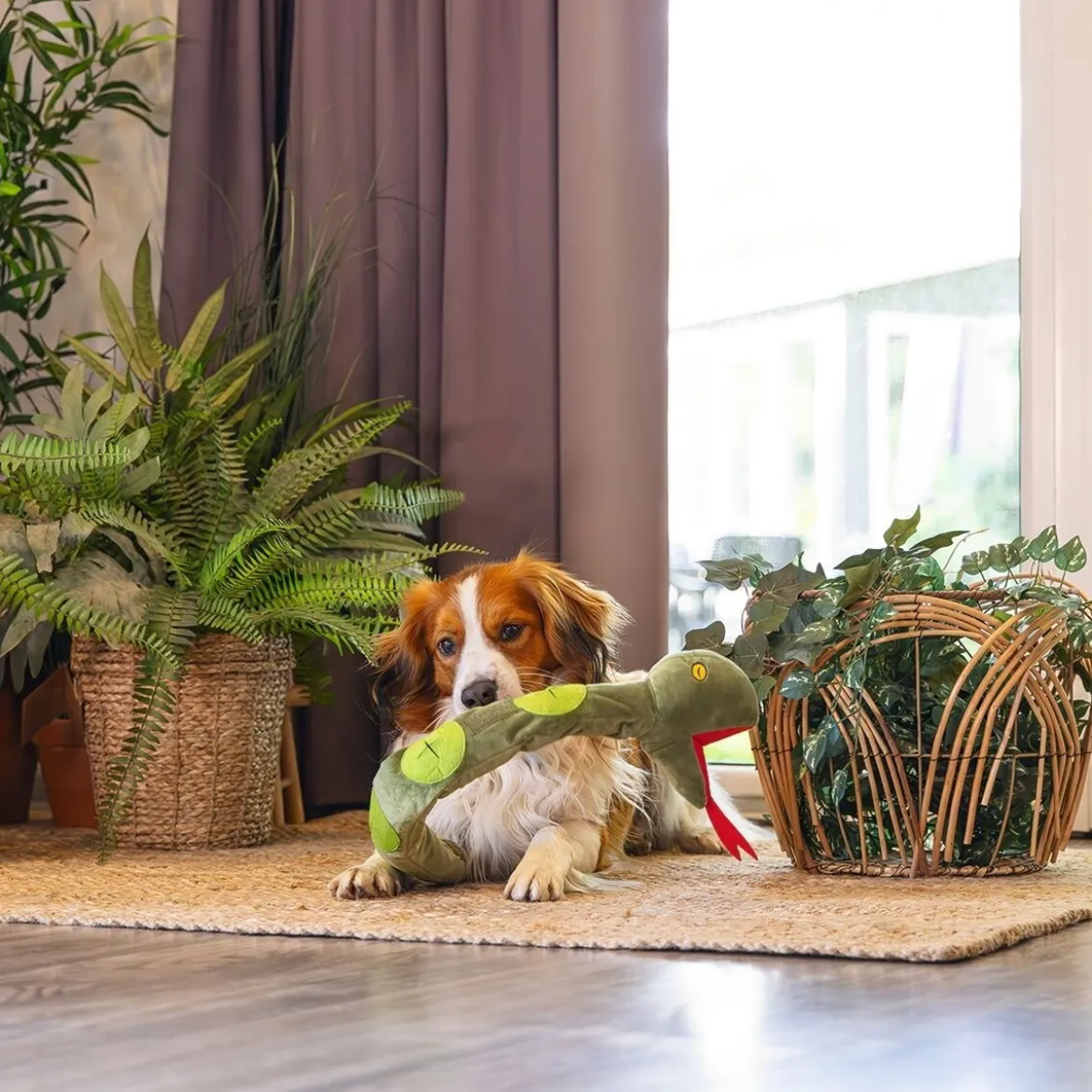 Beeztees Hide N Seek Jungle Kani Aktiveringsleksak Orm