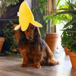 Beeztees Jungle Bibi Hundleksak Apa i Banan