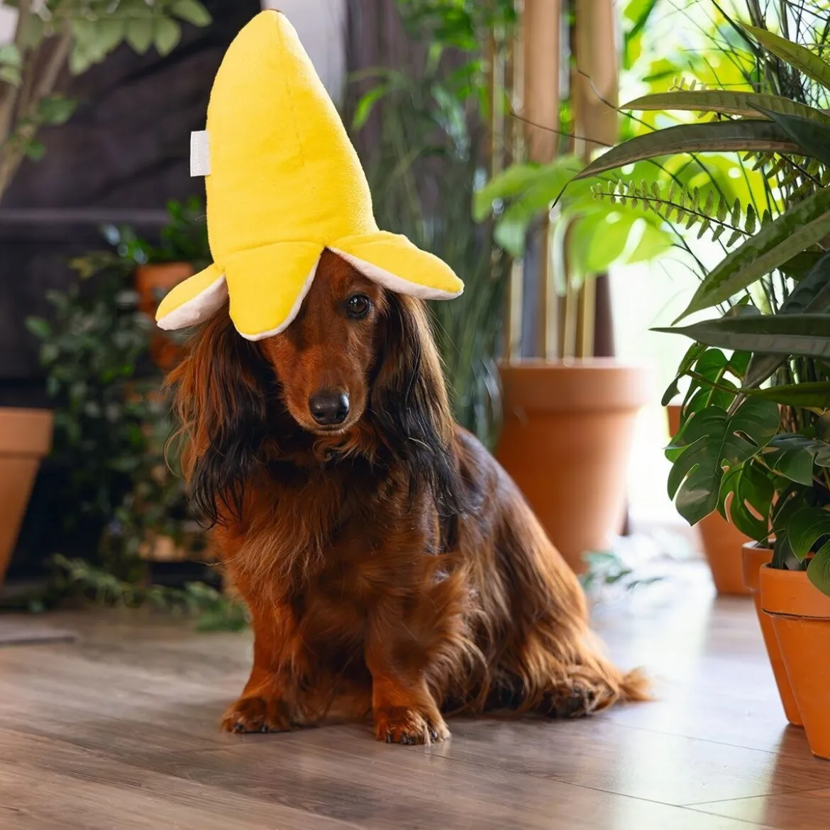 Beeztees Jungle Bibi Hundleksak Apa i Banan
