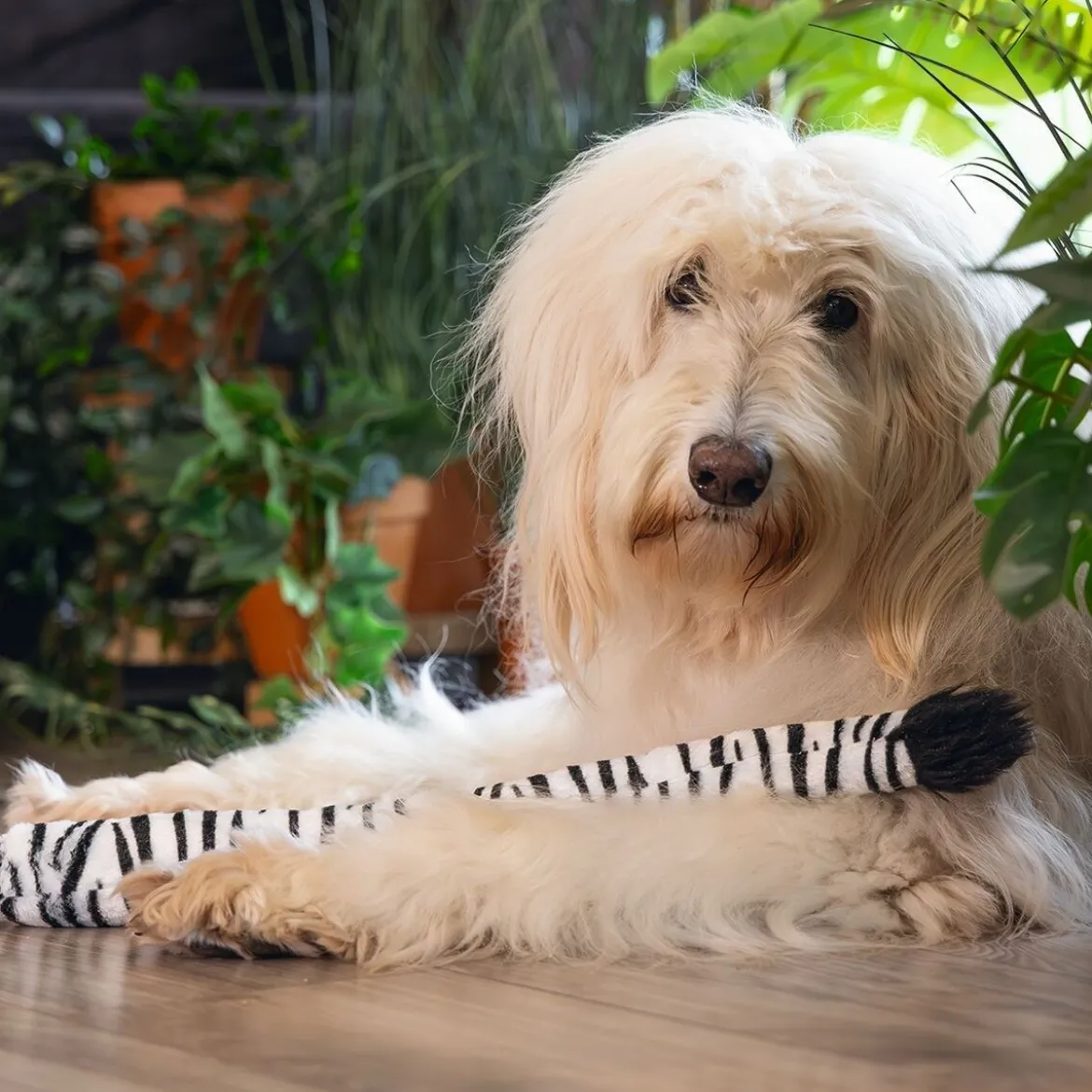 Beeztees Jungle Hundleksak Zebrasvans 50 cm