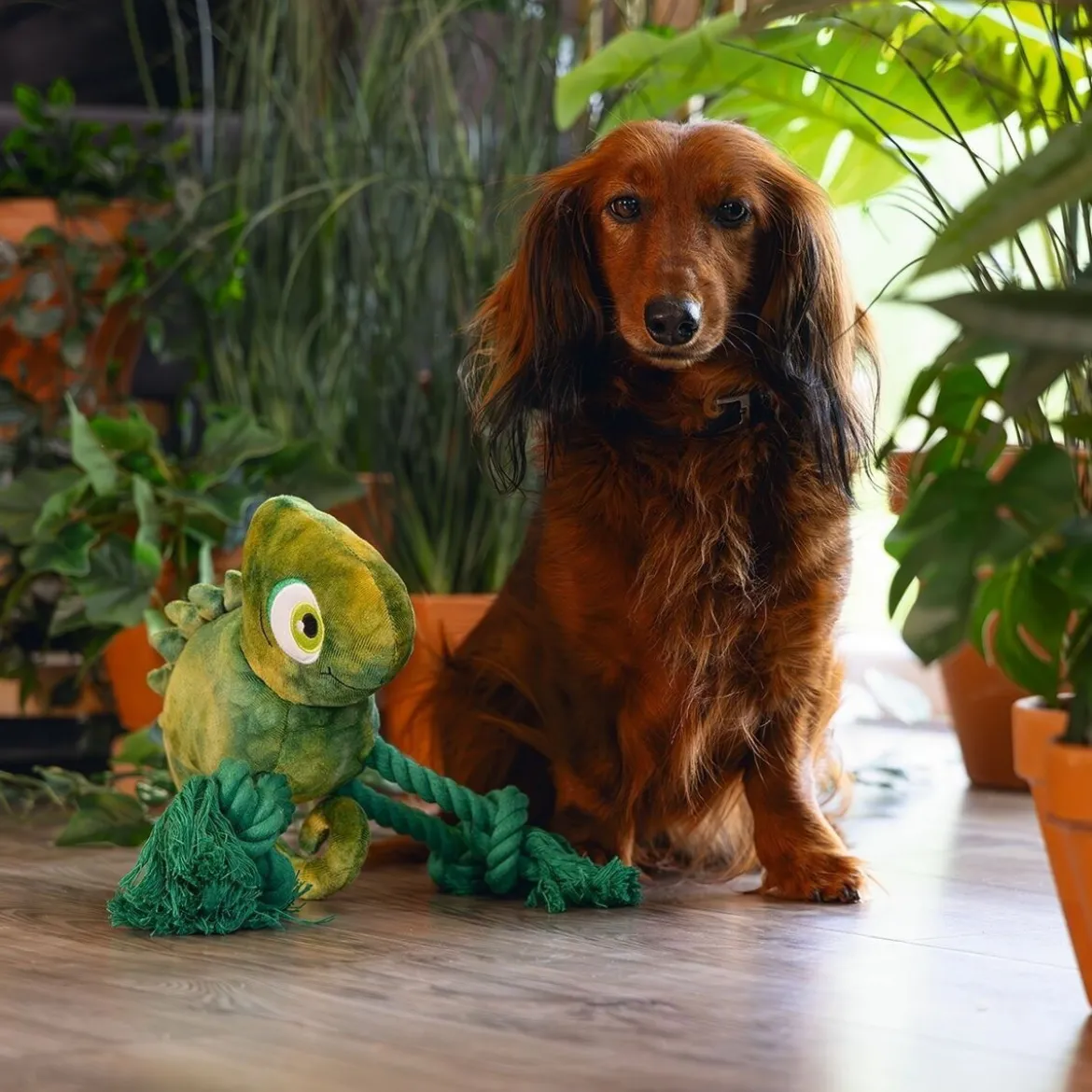 Beeztees Jungle Kodi Mjukisdjur till Hund Kameleont