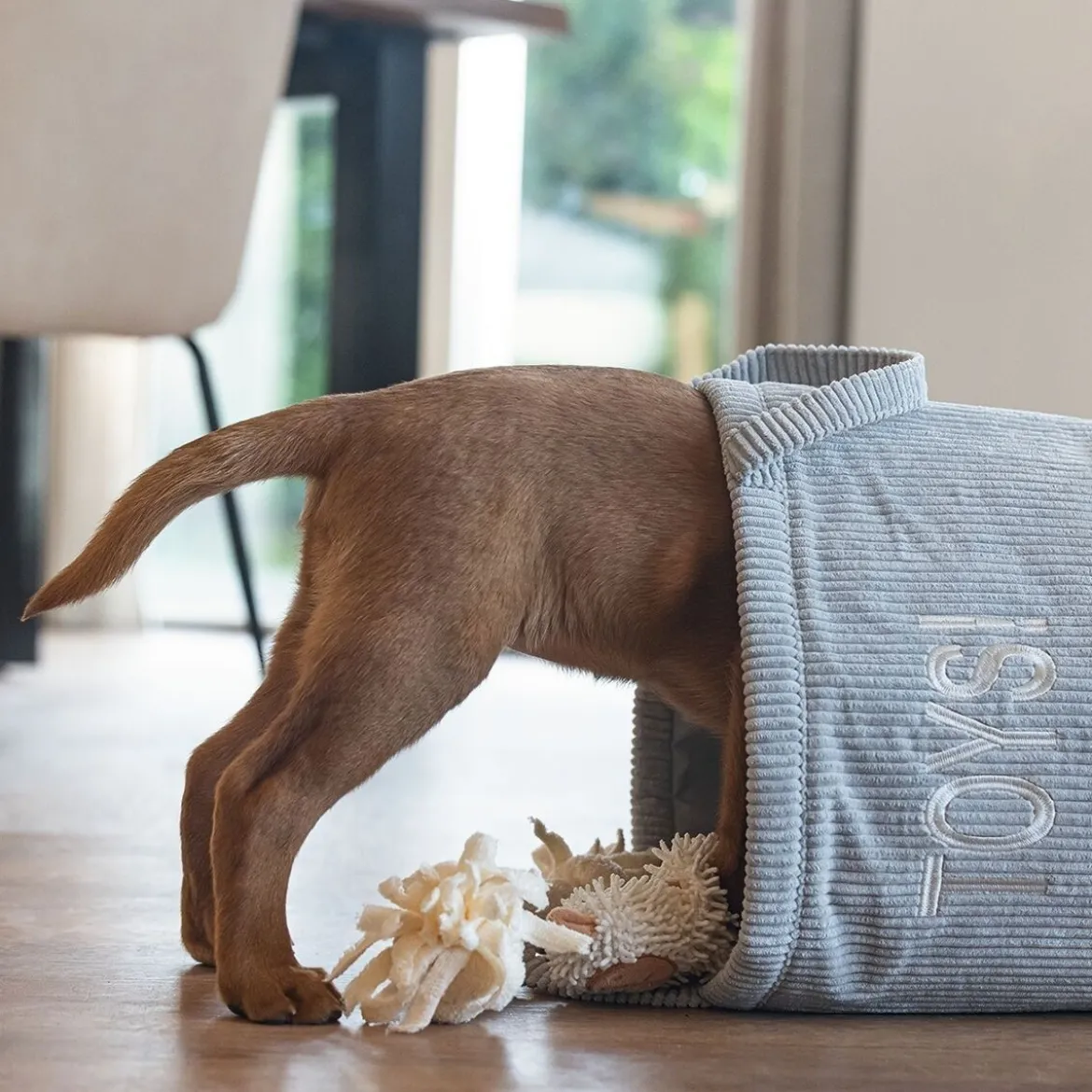 Beeztees Leksakkorg för Hund Grå