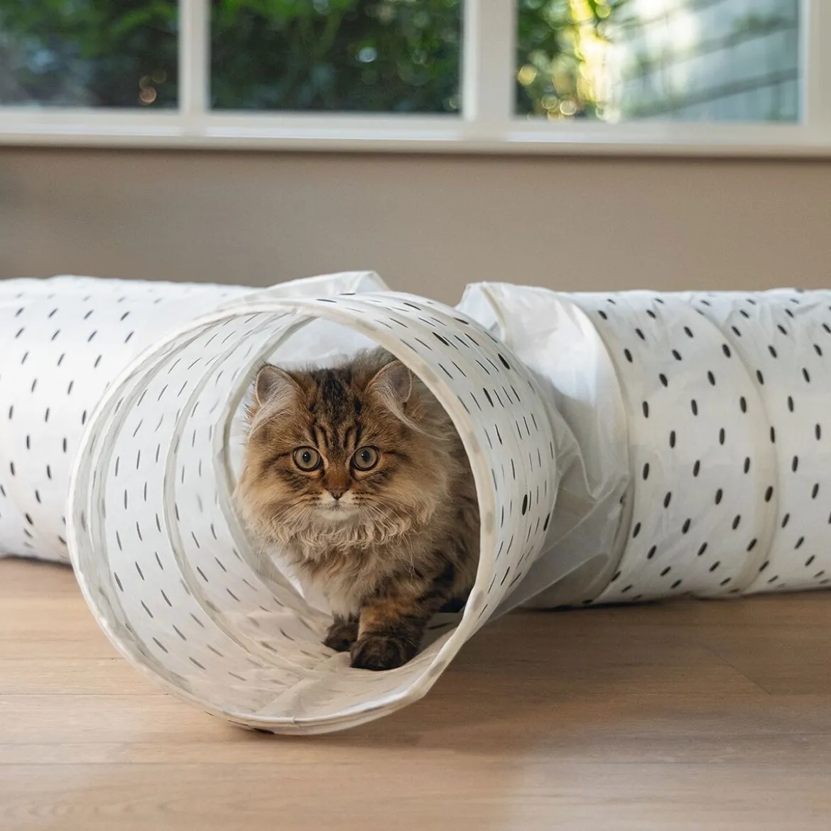 Beeztees Leo Kattunnel Vit/Svart
