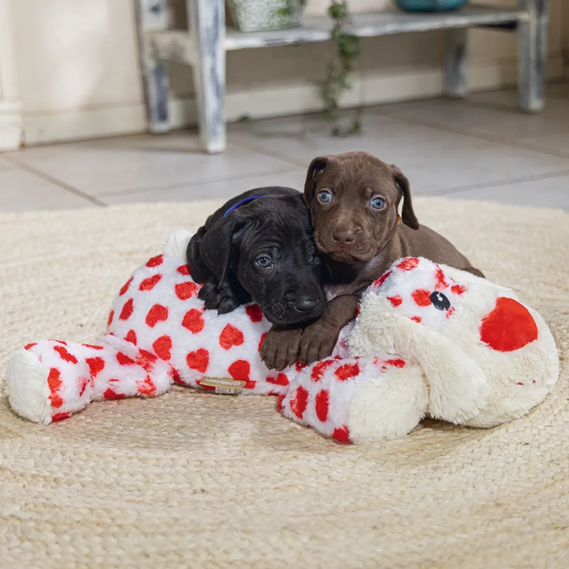 Beeztees Suki Hund Mjukisdjur XL 48 cm