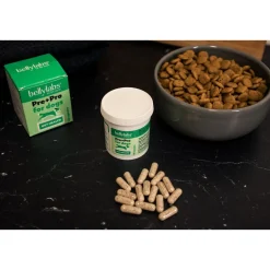 Bellylabs Pre+Pro för Hund 60 Kapslar