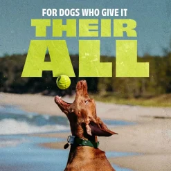 Benebone Bounce Hundboll i Gummi