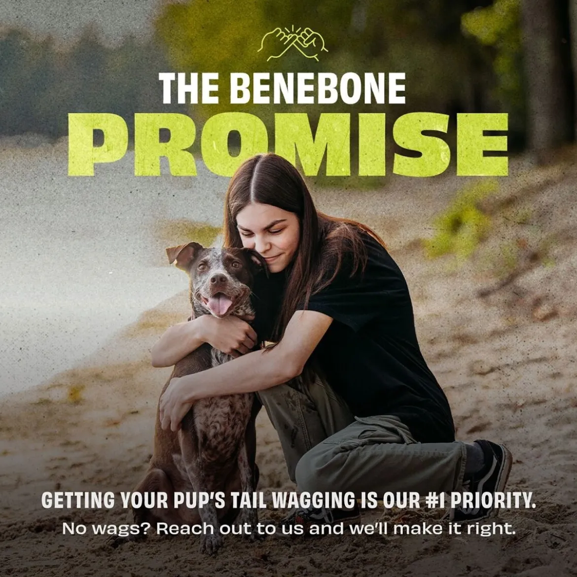 Benebone Bounce Hundboll i Gummi