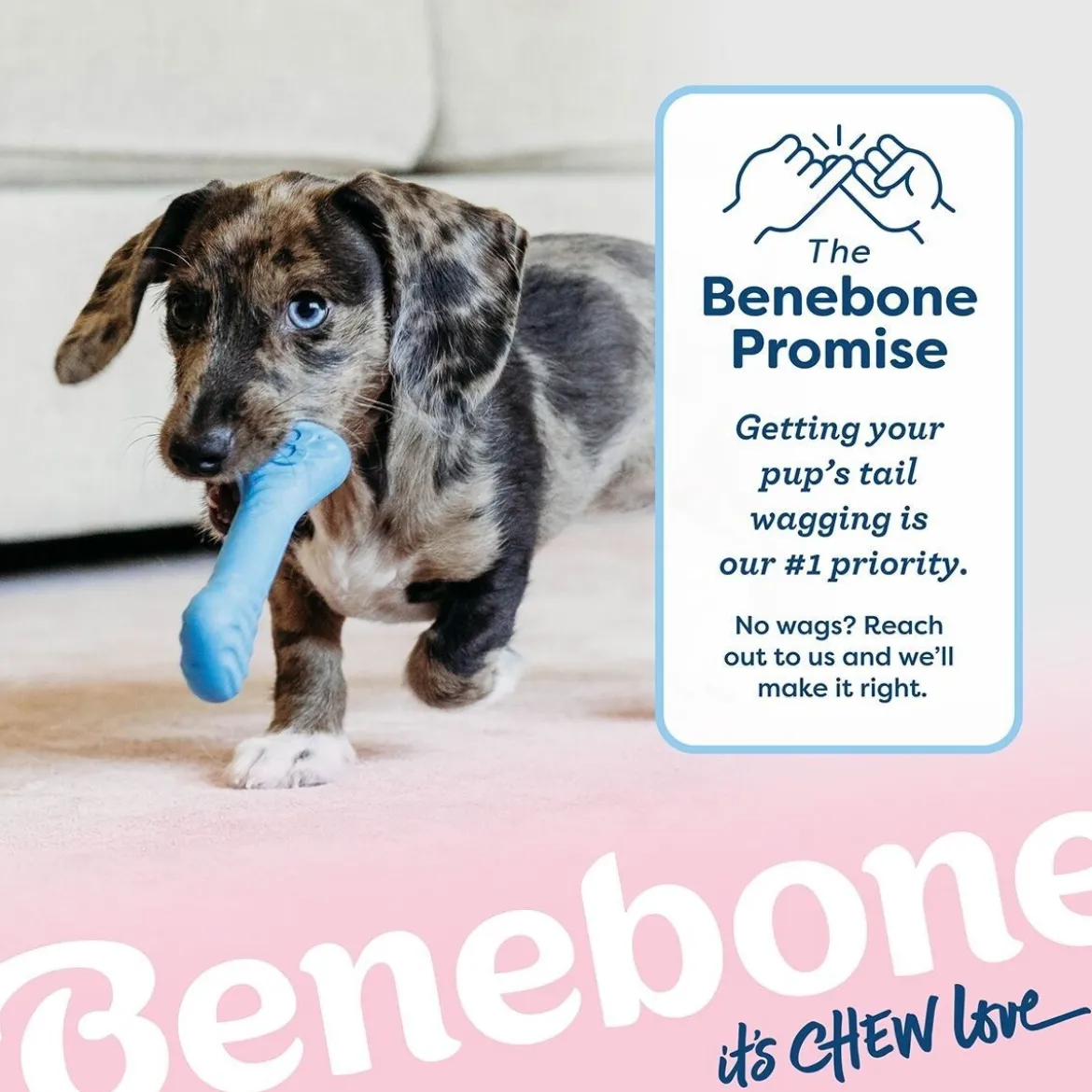 Benebone Gummiben & Wishbone Tuggleksaker till Valp 2-pack