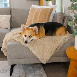 Best Friends By Sheri Mysig Hundfilt Beige