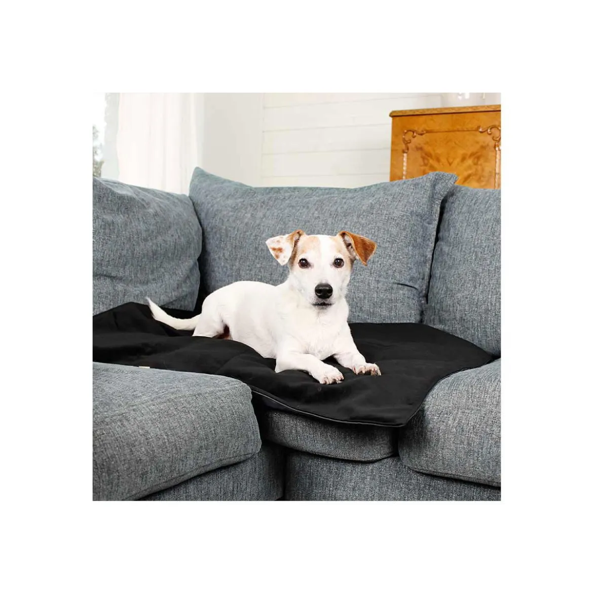 Bia Travel Outdoor Hundmadrass Svart