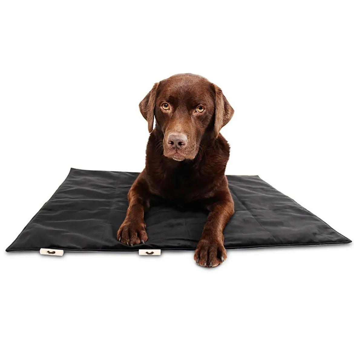 Bia Travel Outdoor Hundmadrass Svart