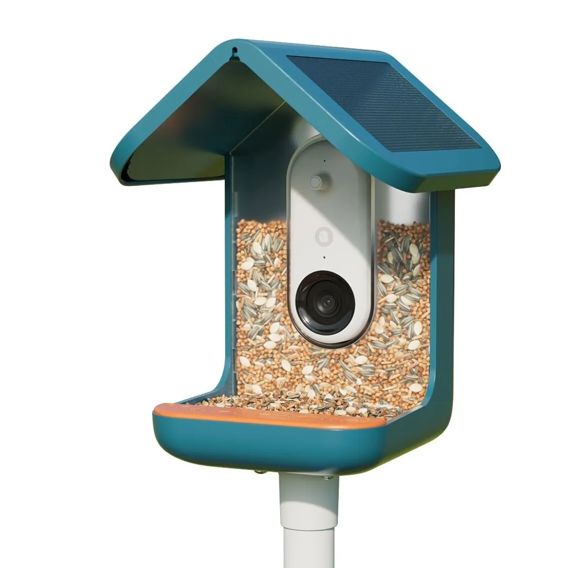 Birdbuddy Fågelmatare med Kamera Blå