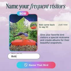 Birdbuddy Fågelmatare med Kamera Blå
