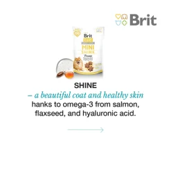 Brit Care Dog Mini SHINE Hundgodis 50 g