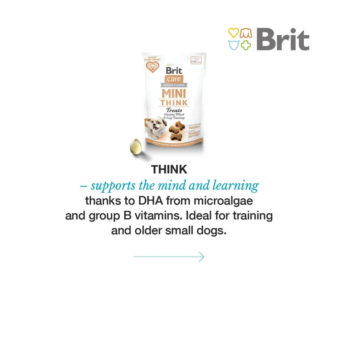 Brit Care Dog Mini THINK Hundgodis 50 g