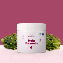 BuddyCare Kelp Formula 250 g