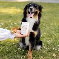 Buddy Care Skin & Coat 150 g