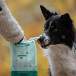 Buddy Frystorkade Kalkon-och Tonfiskbitar 100 g