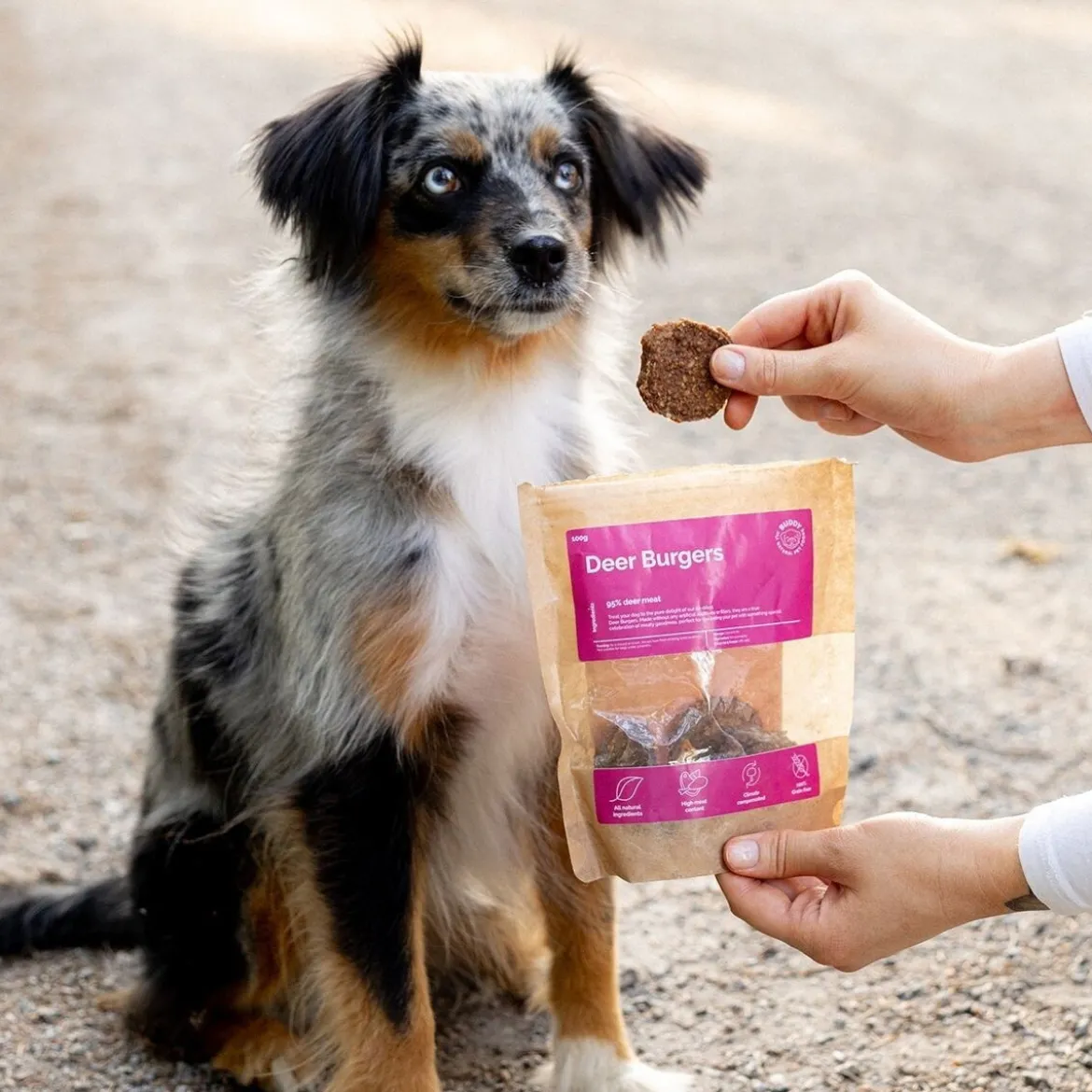 Buddy Petfoods Hjortburgare 100 g