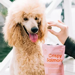 Buddy Petfoods Hundgodis Krispig Lax 150 g