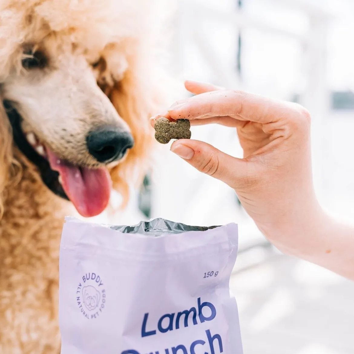 Buddy Petfoods Lamb Crunch Dog Hundgodis 150 g