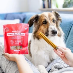 Buddy Spannmålsfri Vegetariskt Dentaltugg M