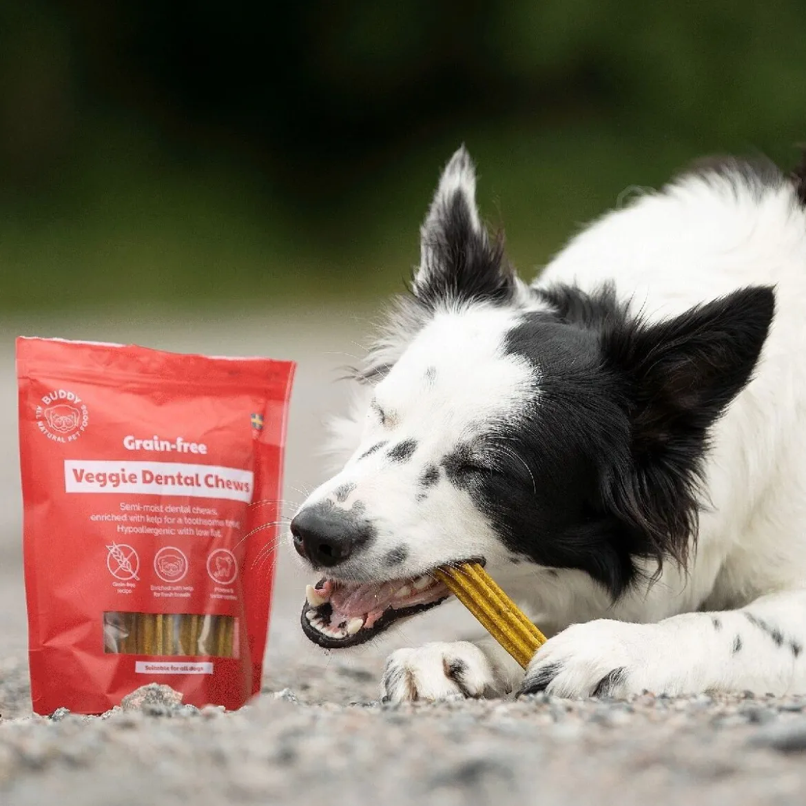 Buddy Spannmålsfri Vegetariskt Dentaltugg M