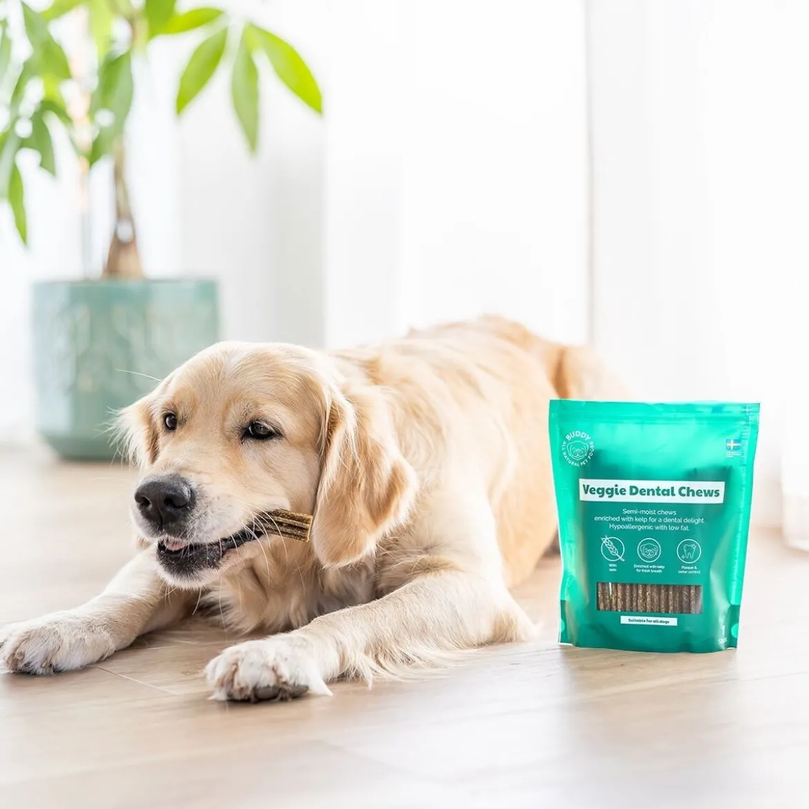 Buddy Vegetariskt Dentaltugg M