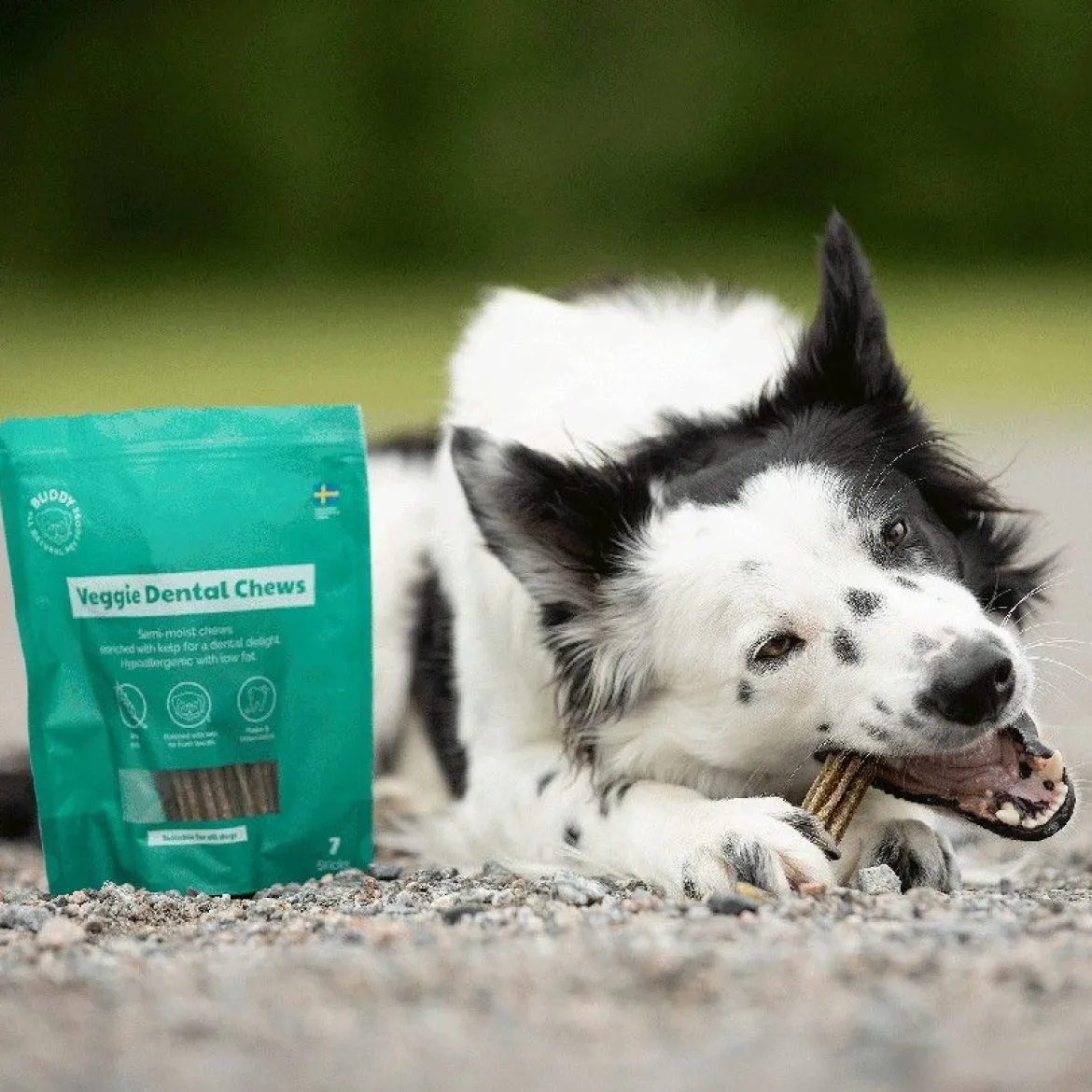 Buddy Vegetariskt Dentaltugg M