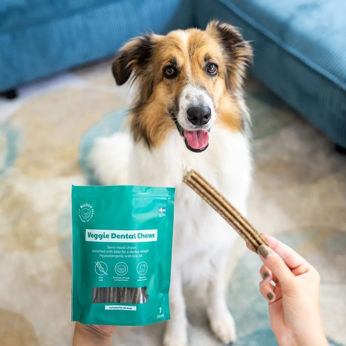 Buddy Vegetariskt Dentaltugg M