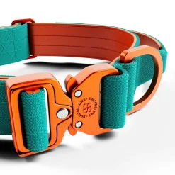BullyBillows Combat Hundhalsband med Handtag Turkos & Orange 4 cm