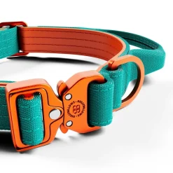 BullyBillows Combat Hundhalsband Turkos och Orange XS 2,5 cm