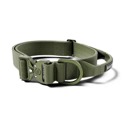 BullyBillows Combat Hundhalsband med Handtag Grön 4 cm