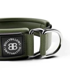 BullyBillows Hundhalsband Halvstryp Reflekterande Grön 4 cm