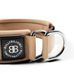 BullyBillows Hundhalsband Halvstryp Reflekterande Beige 5 cm