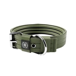 BullyBillows Hundhalsband med Spänne 4 cm Grön