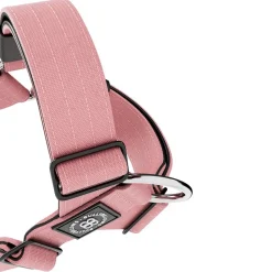 BullyBillows TRI Hundsele Rosa