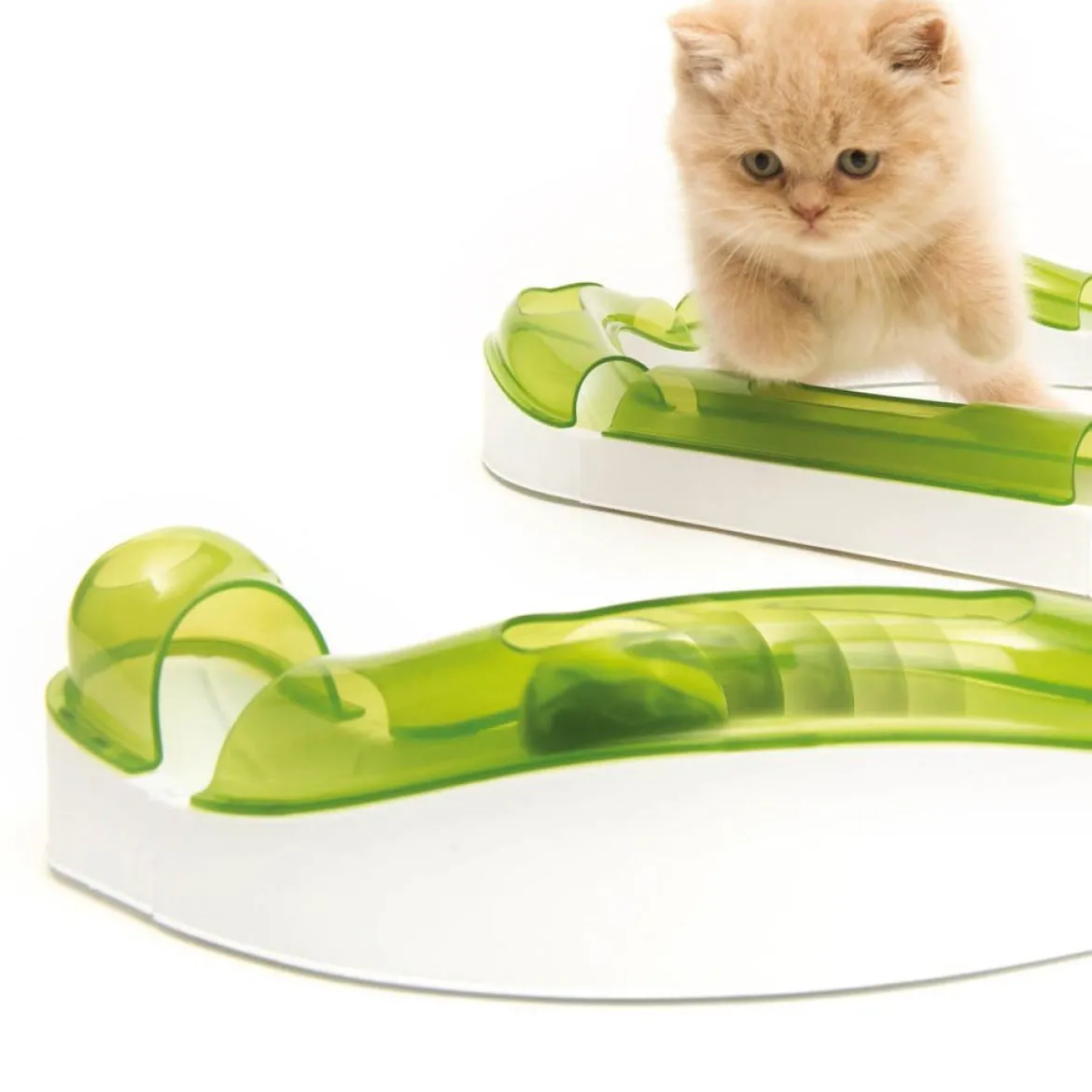 Cat It Senses 2.0 Play Circuit