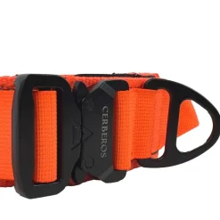 Cerberos Hundhalsband med Handtag Orange